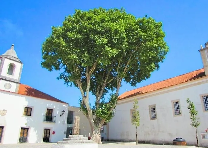 Duarte - Casa T1 - Com Vista Mar Nazaré